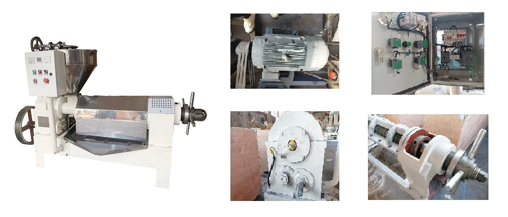 product-1012-433